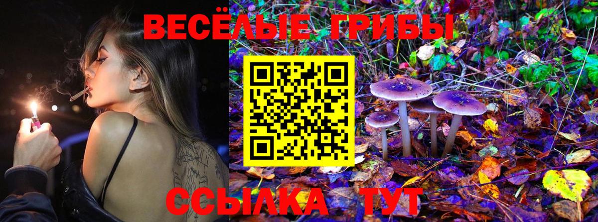 Галлюциногенные грибы мицелий  Вход с VPN  Псилоцибиновые грибы Magic Shrooms  Верхний Уфалей 