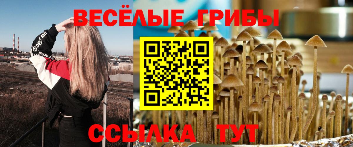 Псилоцибиновые грибы Cubensis Верхний Уфалей